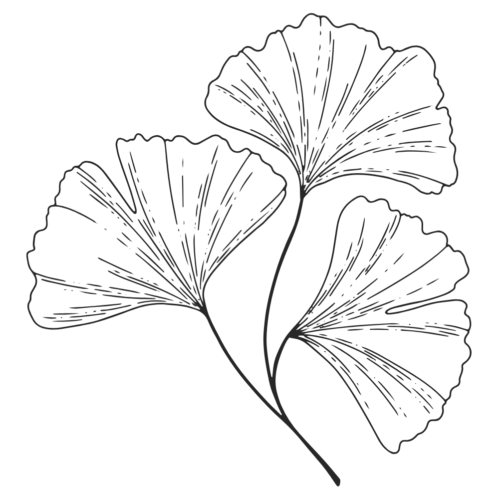 Leaf icon for Support for the whole body