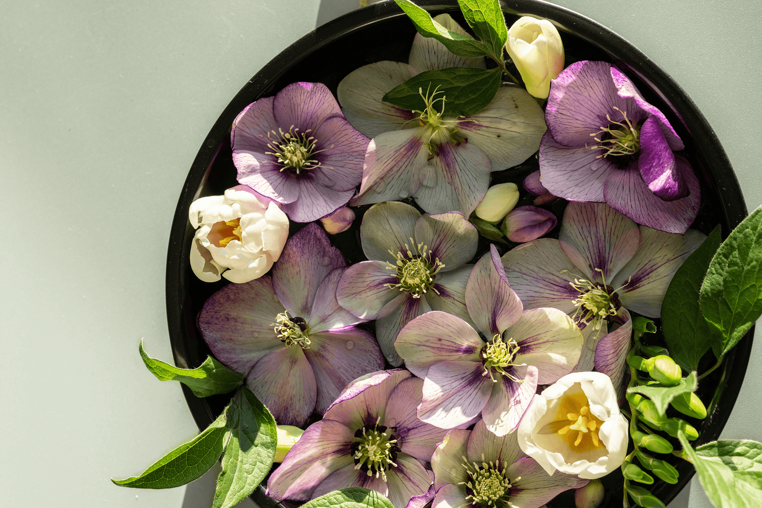 Bowl with purple flowers at Tripp Within massage studio in Chesterfield, VA