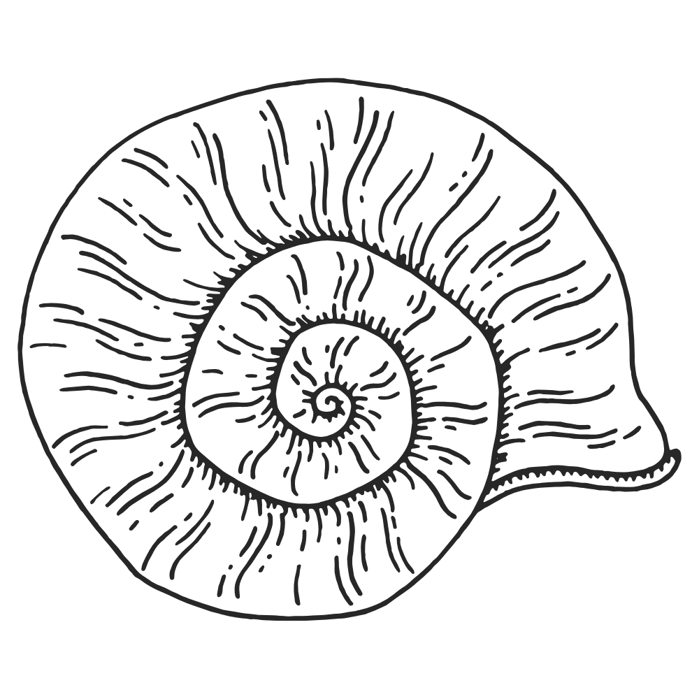 shell icon for session enhancements