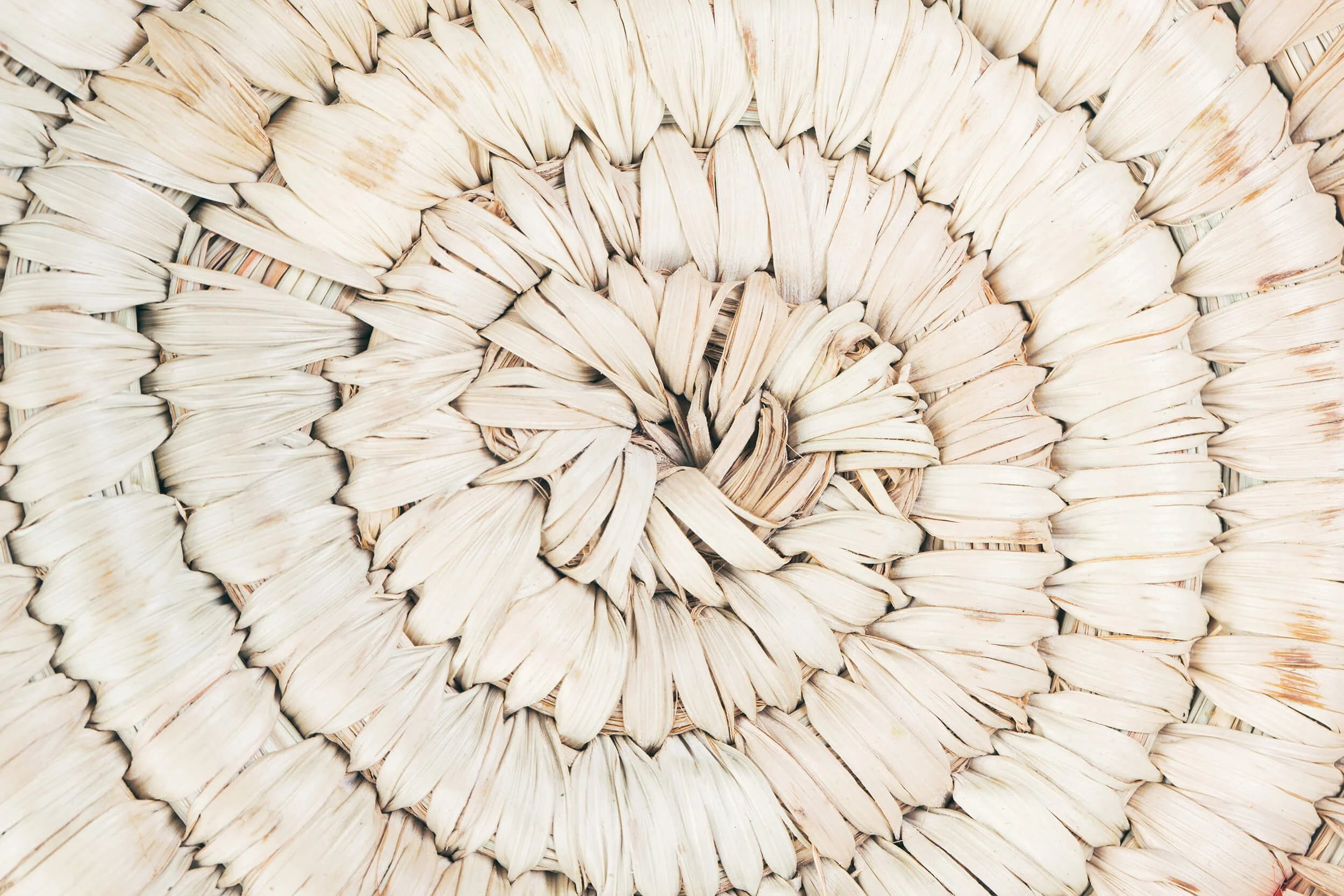 Close-up of woven palm leaves arranged in a radial pattern representing massage therapy in Chesterfield, VA.