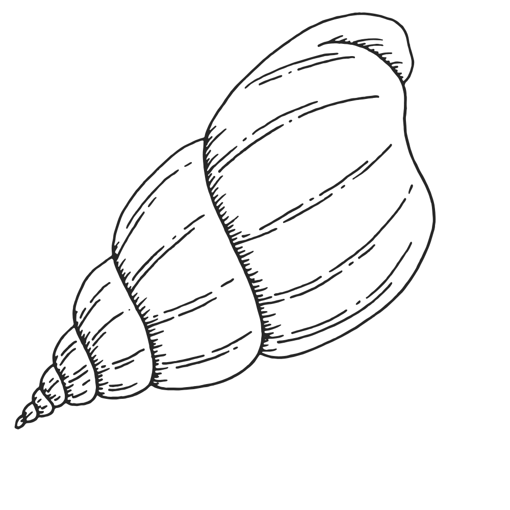 shell icon for prenatal massage