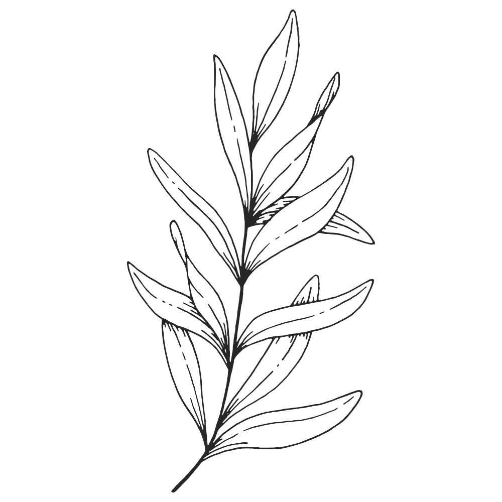 Leaf icon for therapeutic massage