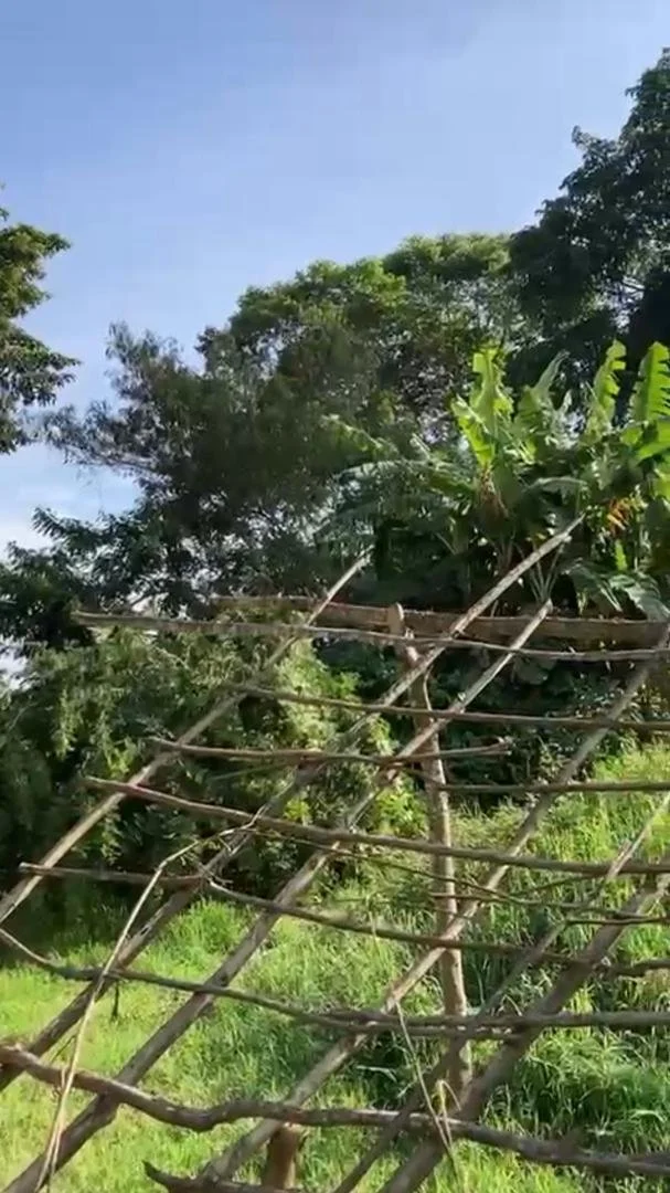 reflections 2025 Joyful