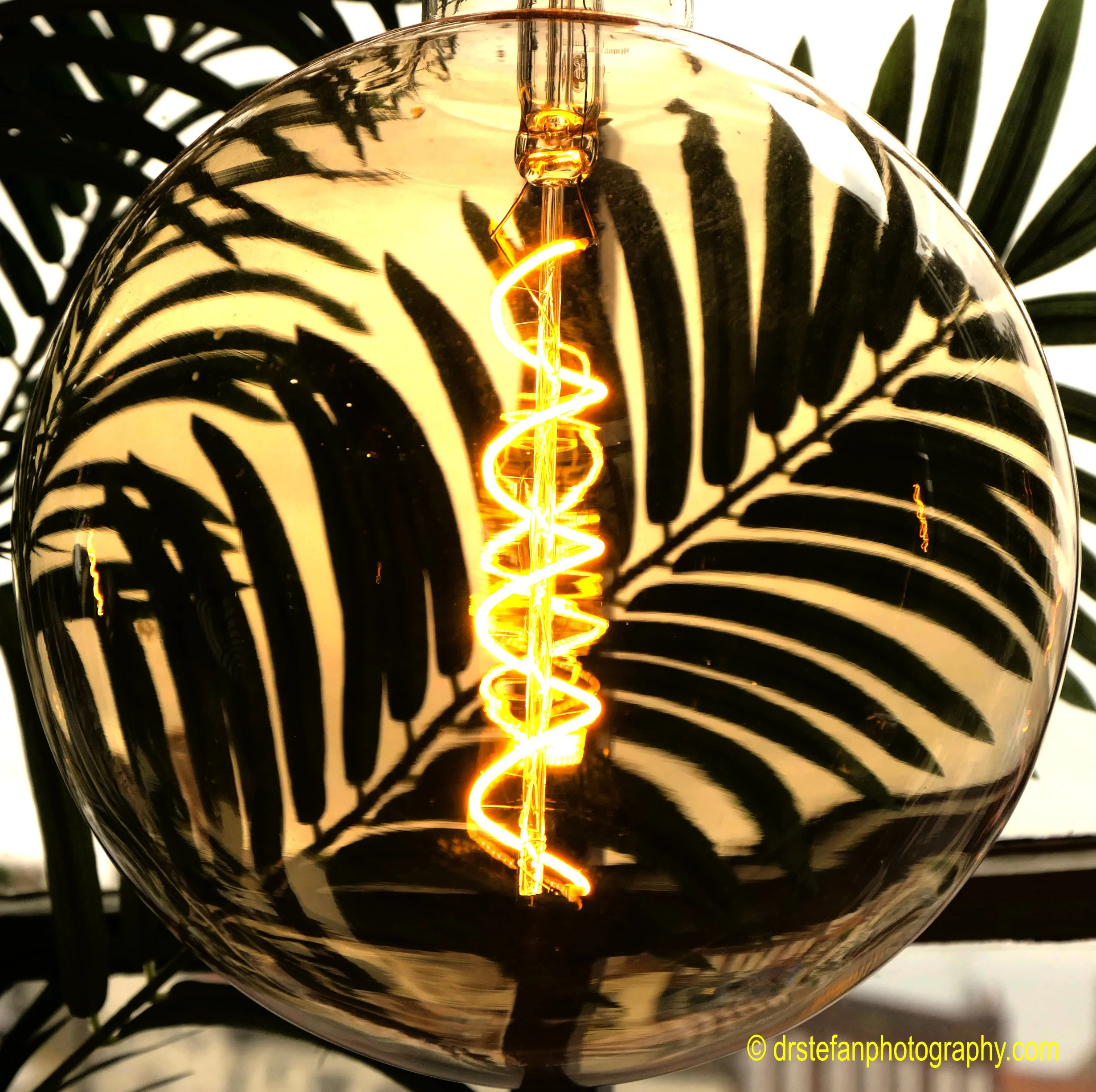 Bright bulb with ferns