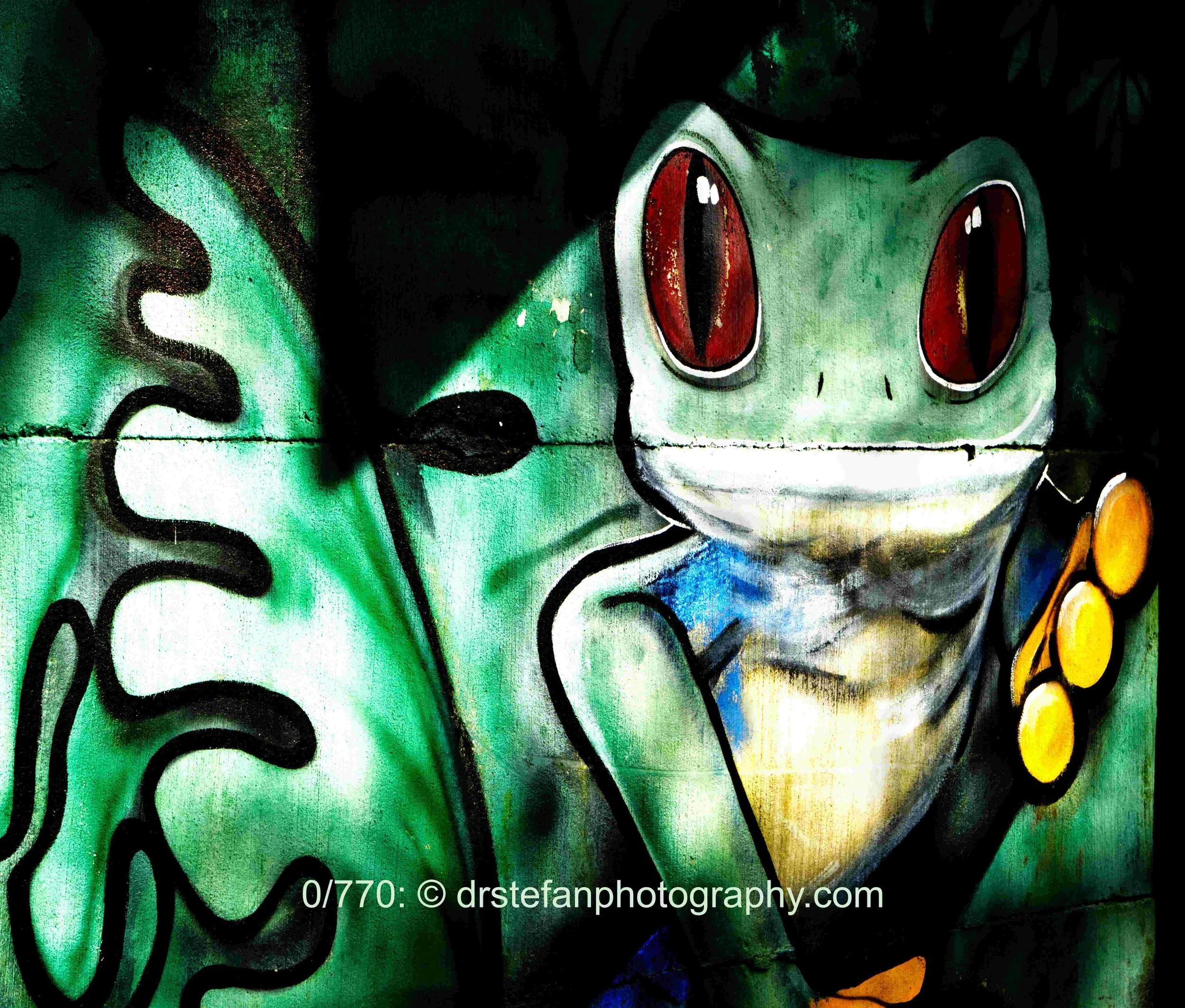 Costa Rican frog mural