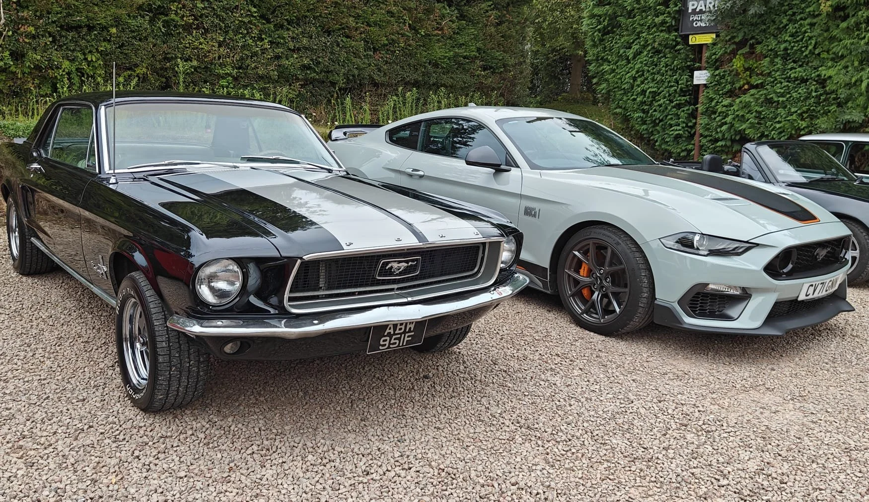 Black and white vintage Ford Mustang and modern white Ford Mustang parked side by side on gravel with greenery and trees in the background.