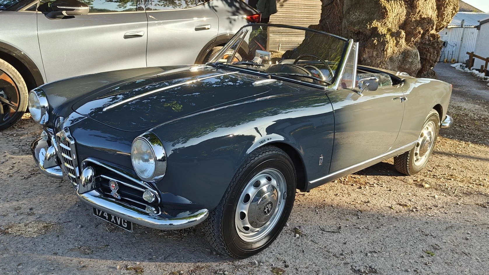 A vintage black convertible car with chrome details parked on a gravel surface beside a gray modern vehicle and a large tree.