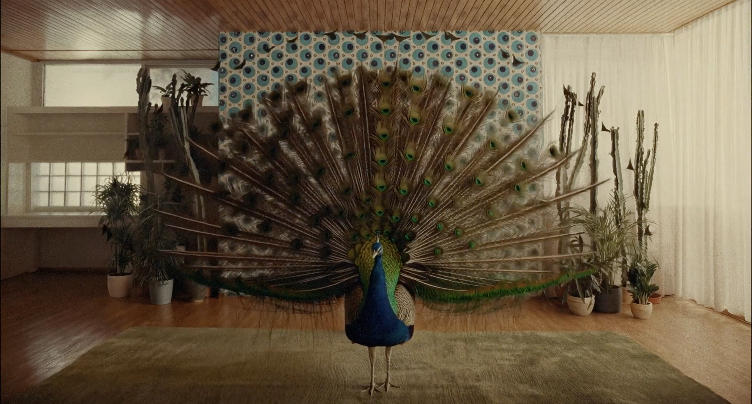 Screenshot 2026-03-17 at 12.01.50.png