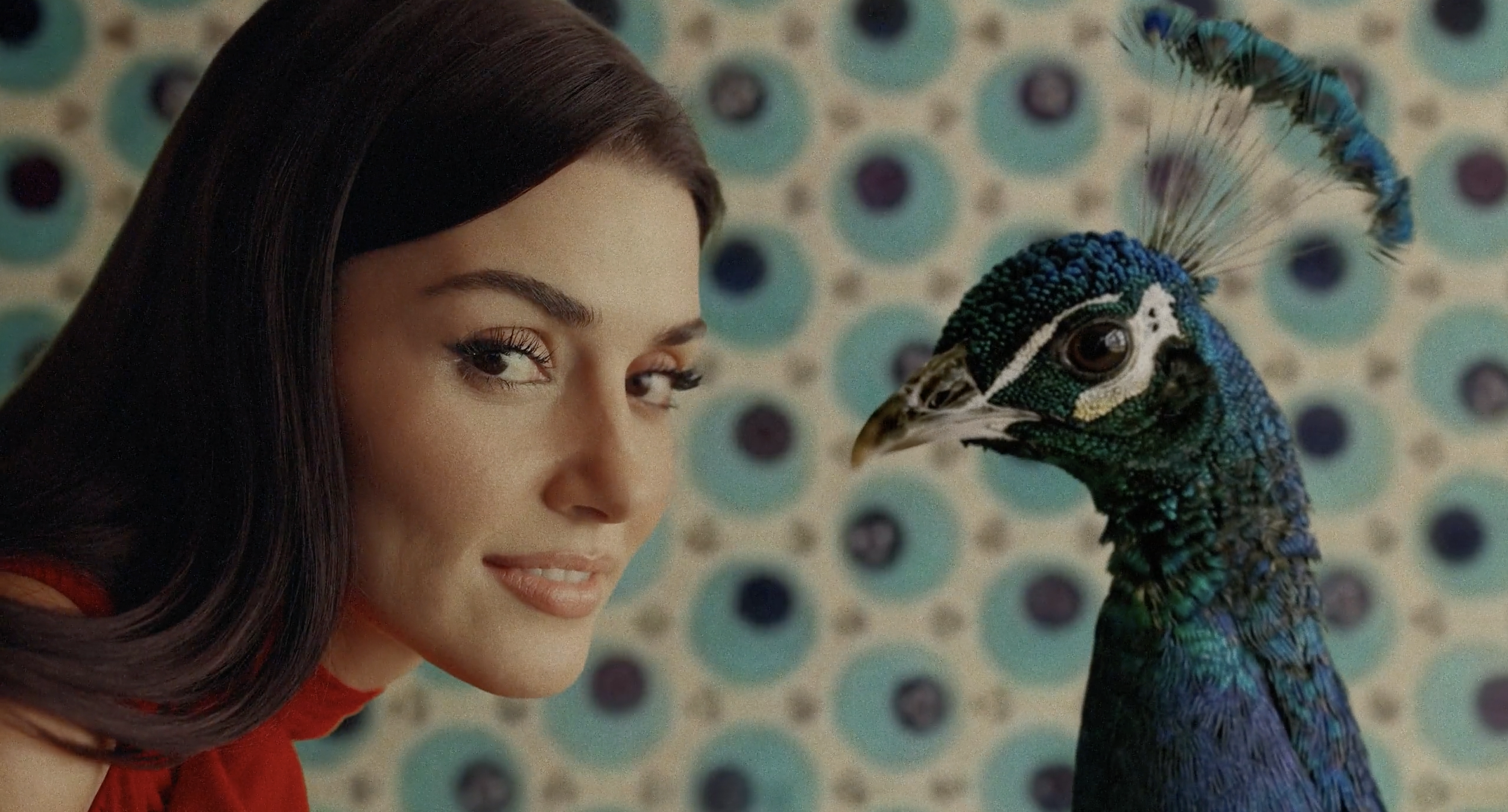 Screenshot 2026-03-17 at 12.07.29.png