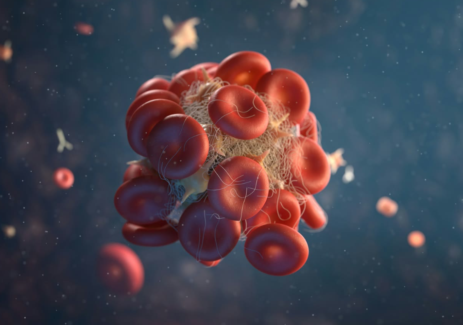 Fattori di crescita: Cosa sono e perchè sono oro puro in medicina