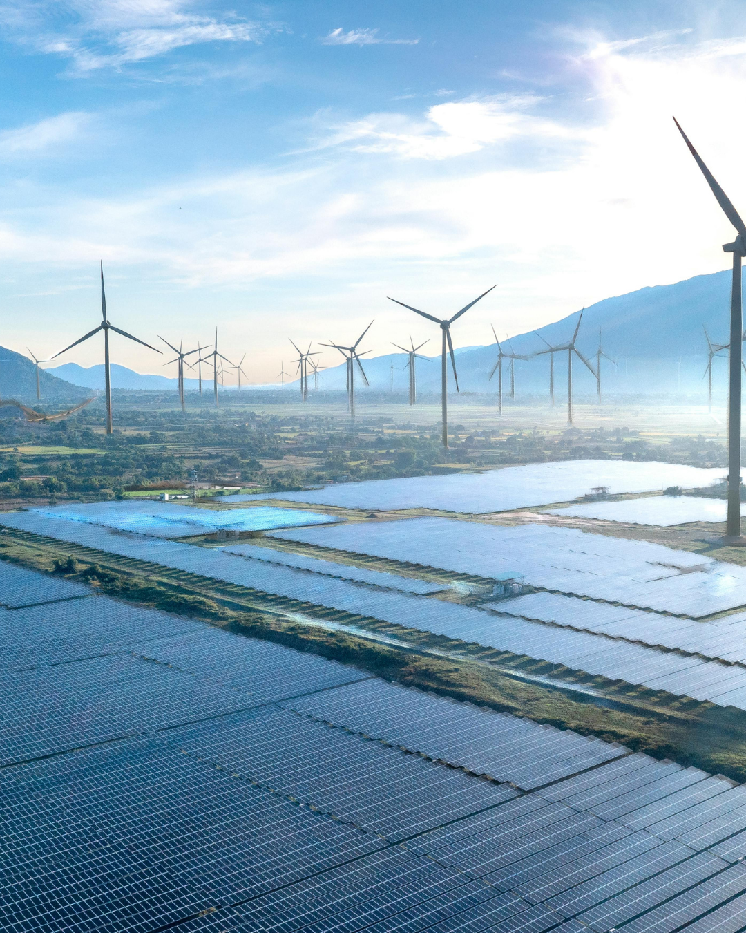 What Is an Energy Load Profile and Why Suppliers Price Your Contract Around It