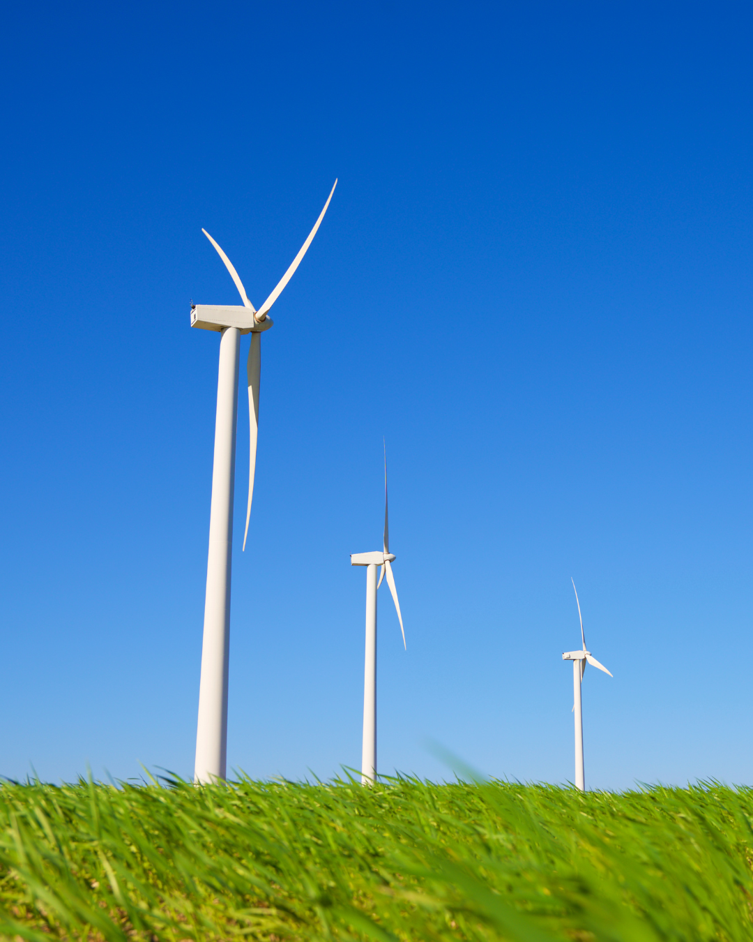 Spring Energy Market Outlook: What Businesses Should Watch Before Summer Demand Increases