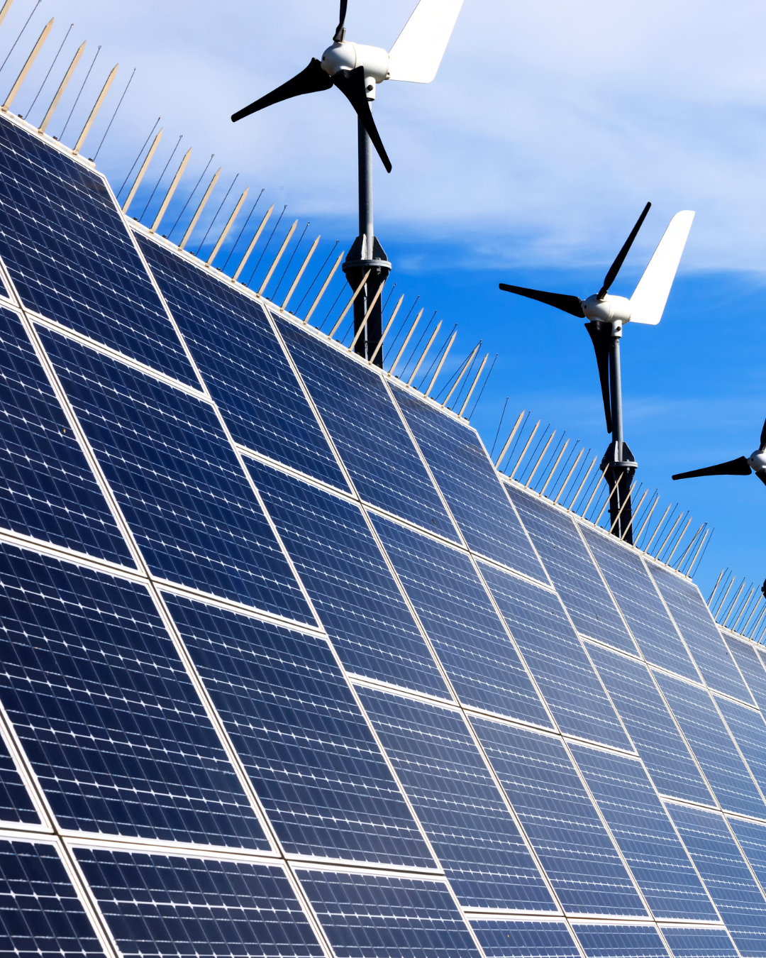 What Businesses Should Know About Renewable Energy Credits and Green Procurement
