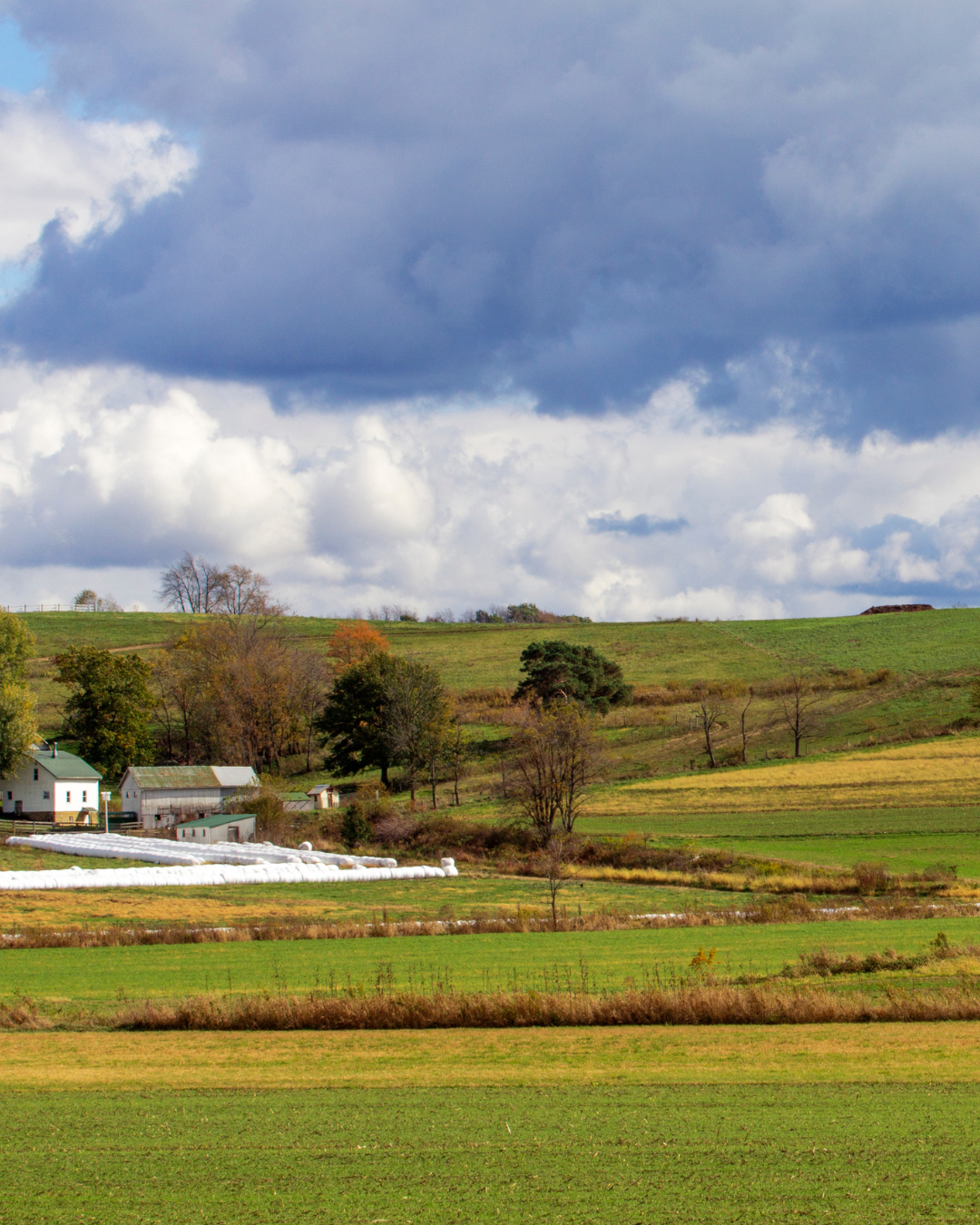 Energy Deregulation in Ohio: What Businesses Need to Know