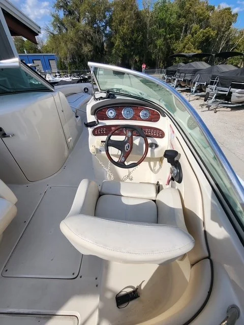 Sea ray 5.JPG