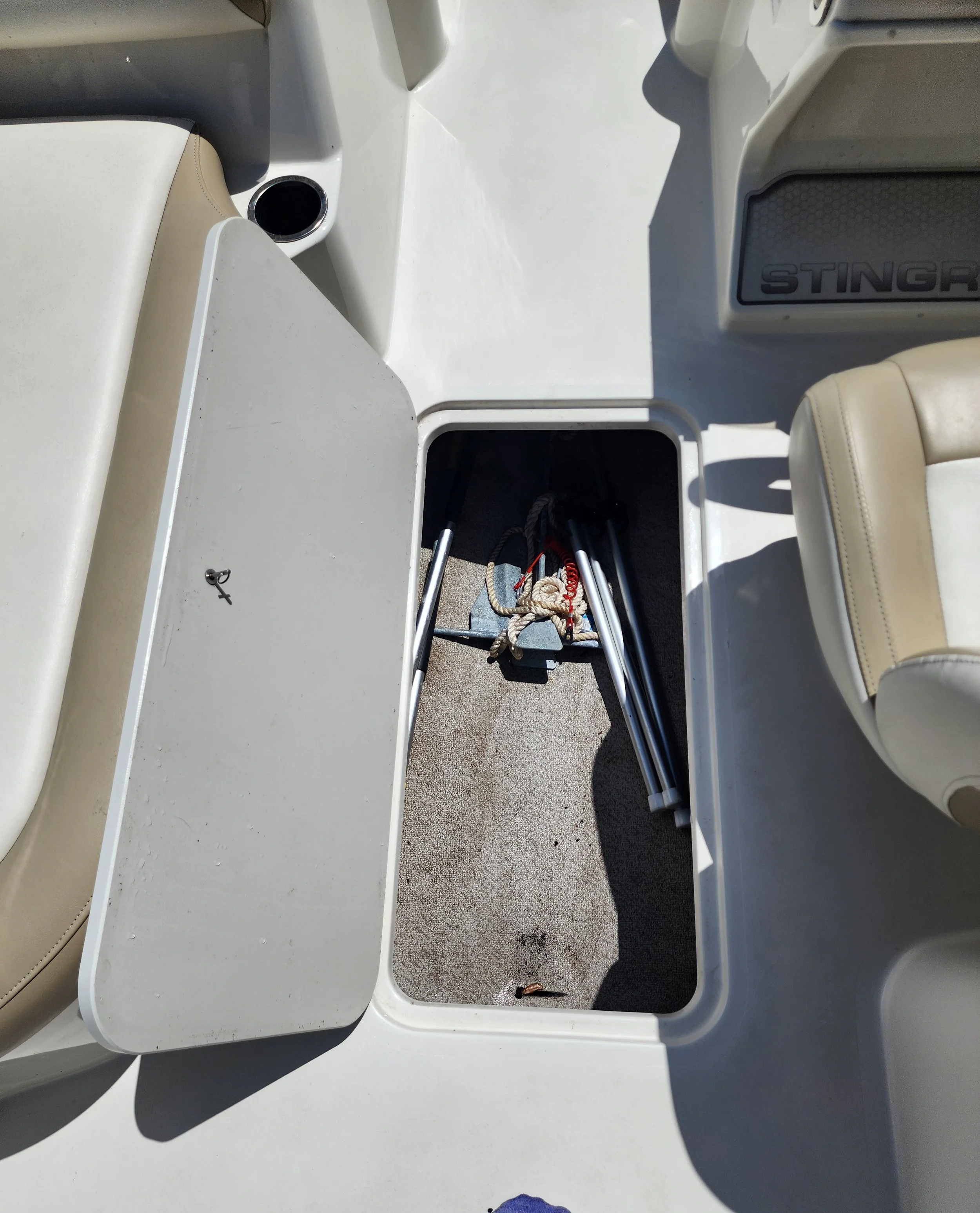 StingRay 3.jpg