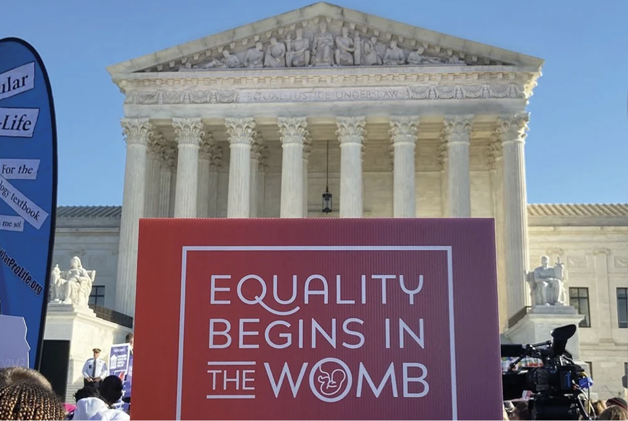 A Response to Pro-life Arguments Against Equal Protection for the Unborn