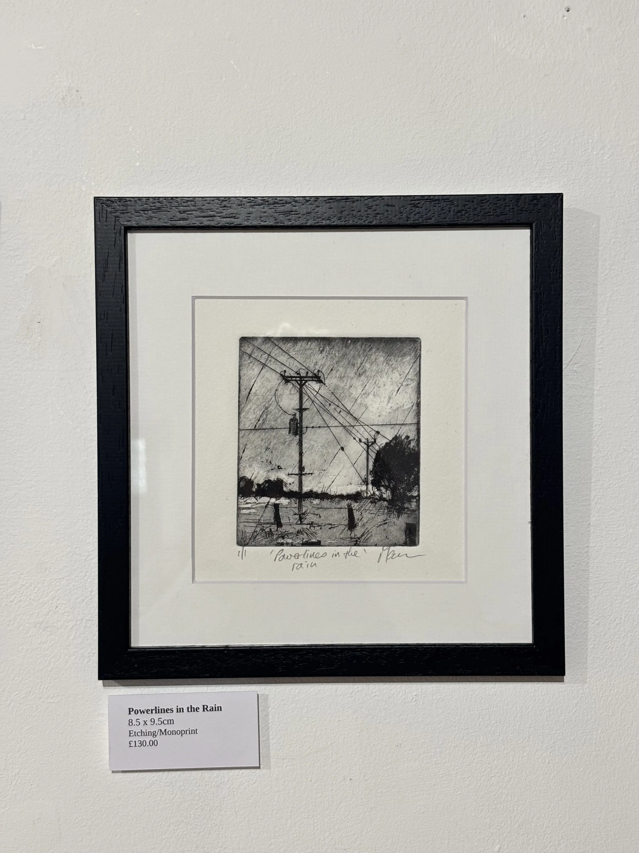 Mal Cowie  Powerlines in the Rain