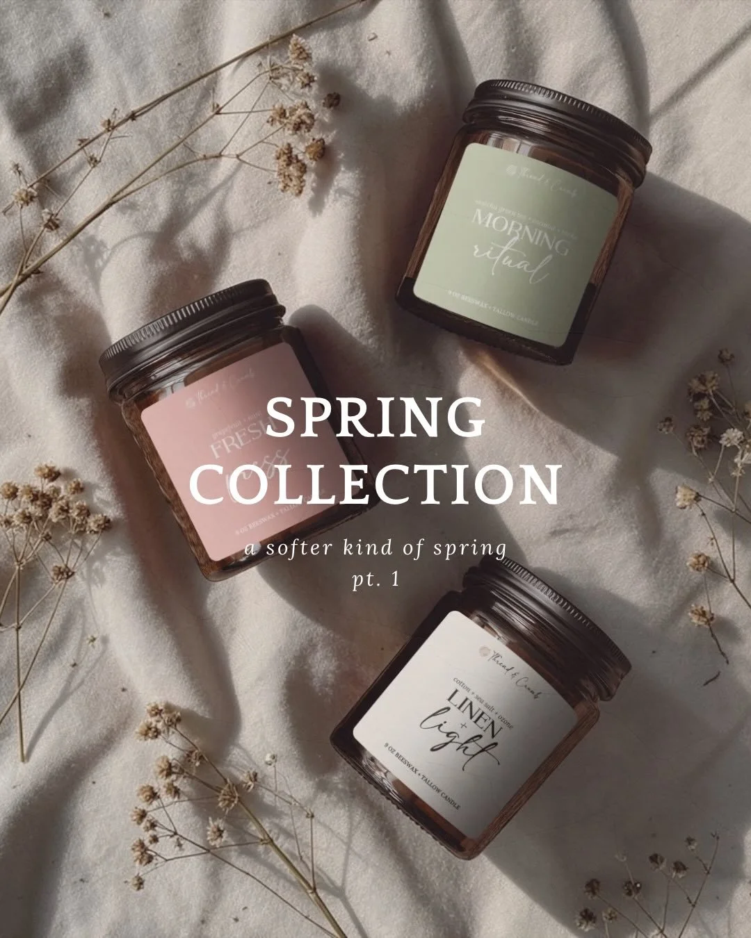 spring, but softer ✿

these were all created to feel like little moments you want to stay in a little longer

the kind of morning that makes you want to start fresh
clean sheets + sunlight
wildflowers and open air
something warm, slow, and grounding
