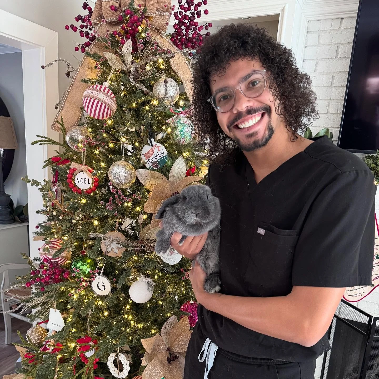 Merry Christmas from Georgie! He had a scare this weekend where he fell off his play castle and was disoriented for a little while after. He went back to being his normal self eventually, but his owner still wanted to get him checked out. We are happ