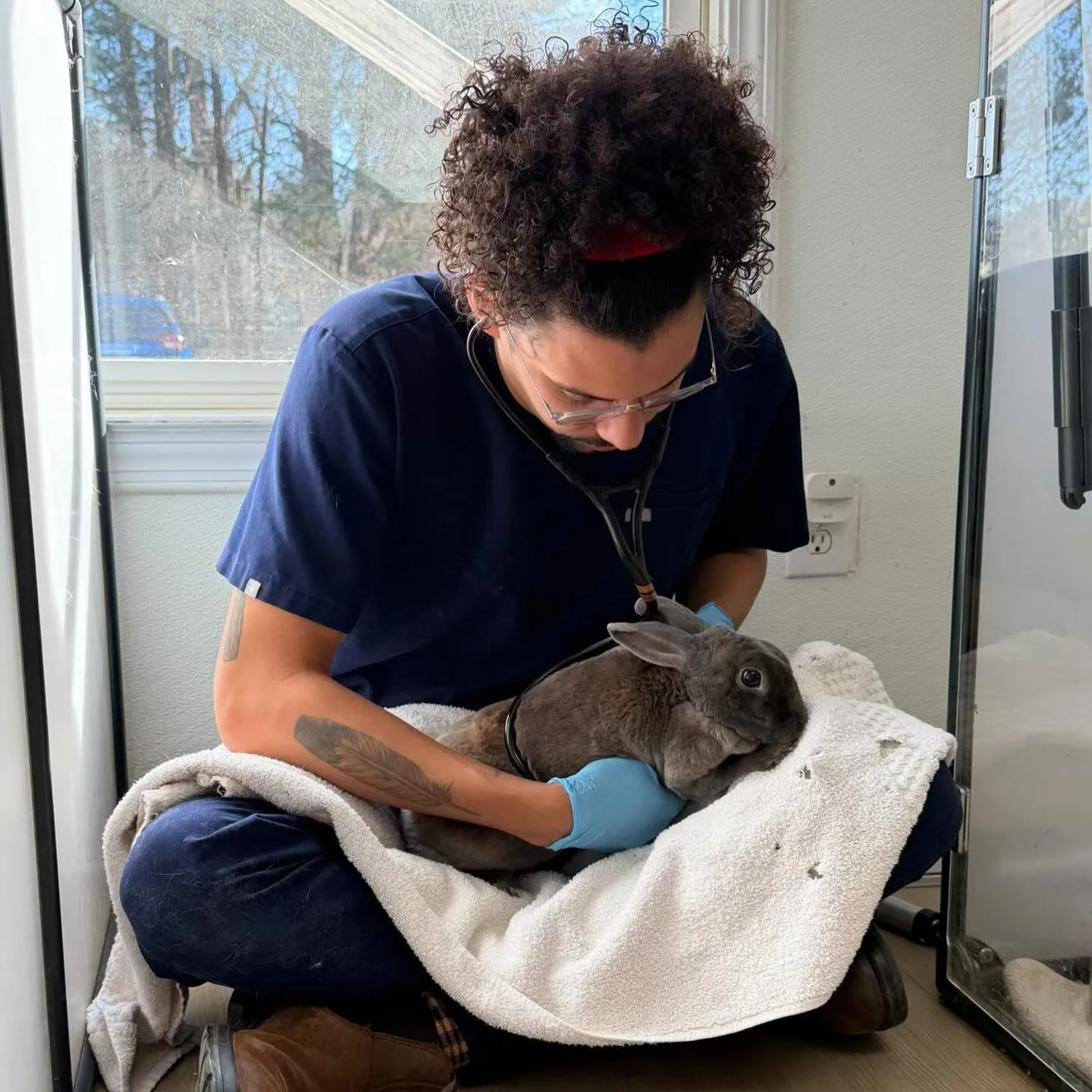 Feathers, fur, or scales&mdash;whether in the living room, the kitchen, or on the ground&mdash;a physical exam is a crucial part of every visit with Shepherd&rsquo;s Heart! 
&bull;
A physical exam includes an evaluation of the body condition, eyes, h