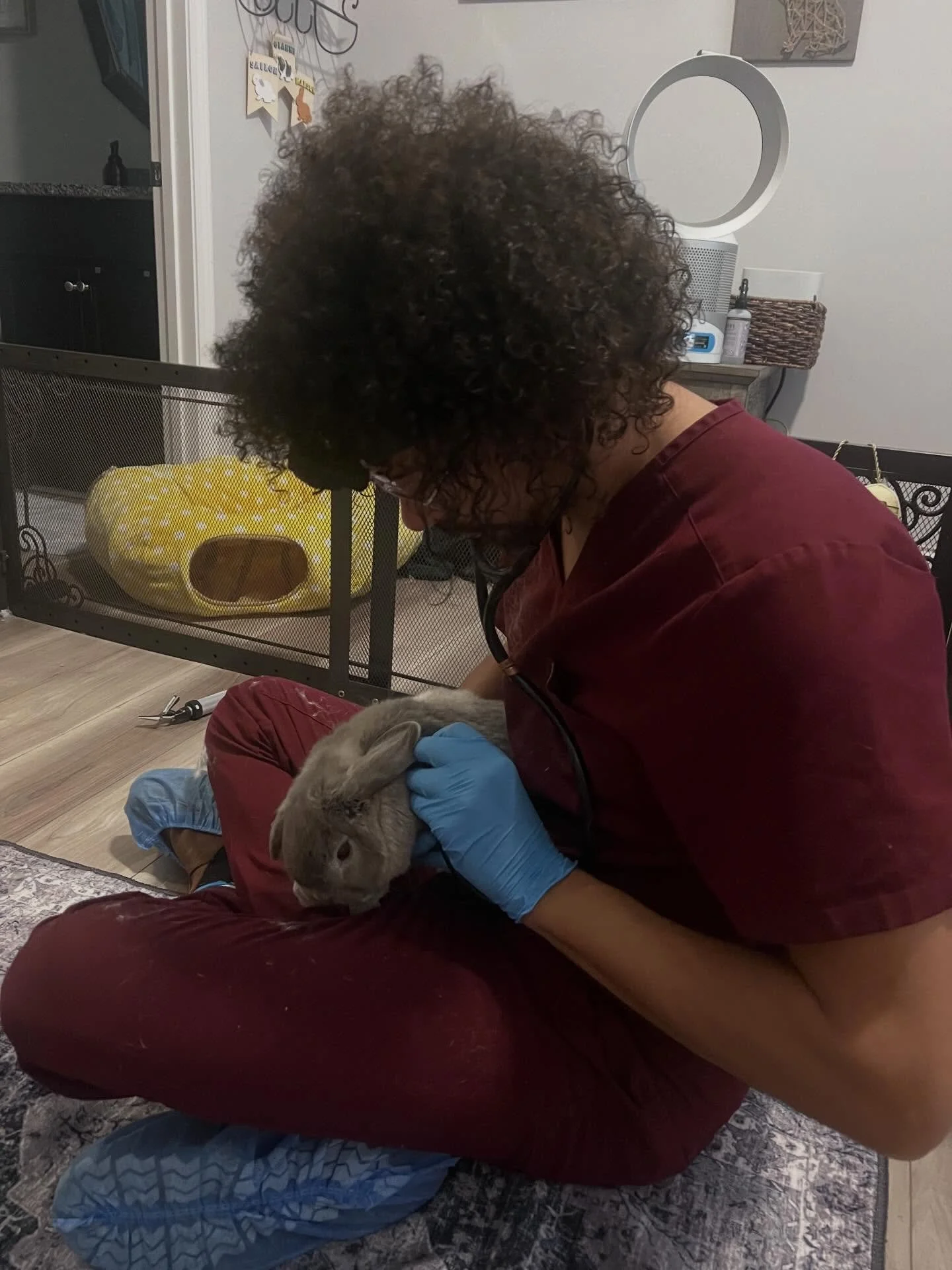 Shepherd&rsquo;s Heart is just as much for the owner as it is for the pet because you get to be apart of every step of the visit. The photos presented here were taken by these rabbits owner. The owner was able to see the exam, witness the vaccines gi