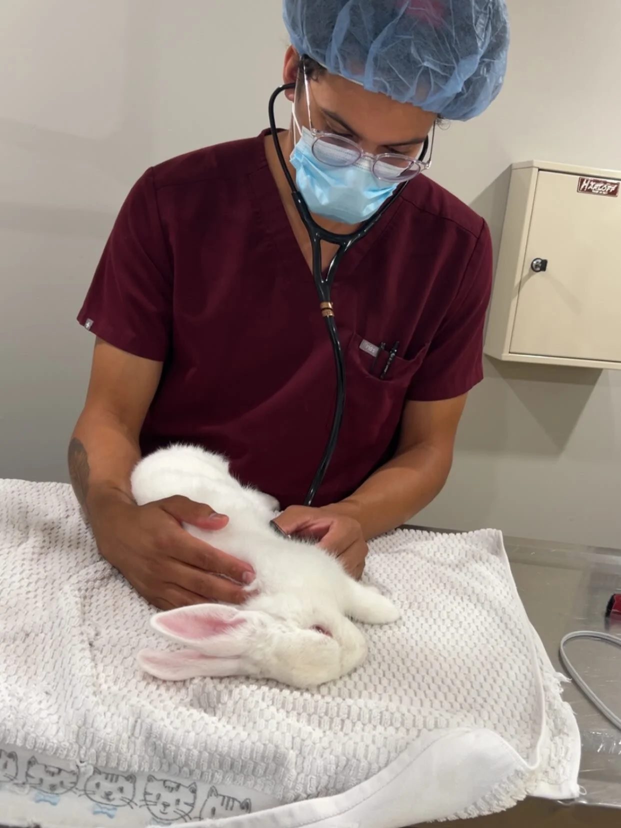 Last week the Shepherd&rsquo;s Heart team had our first Low-Cost High-Quality Rabbit Spay/Neuter Day and everything went great! All the rabbits are happy, healthy, and doing great! If you or someone you know needs to get their rabbit spayed/neutered,