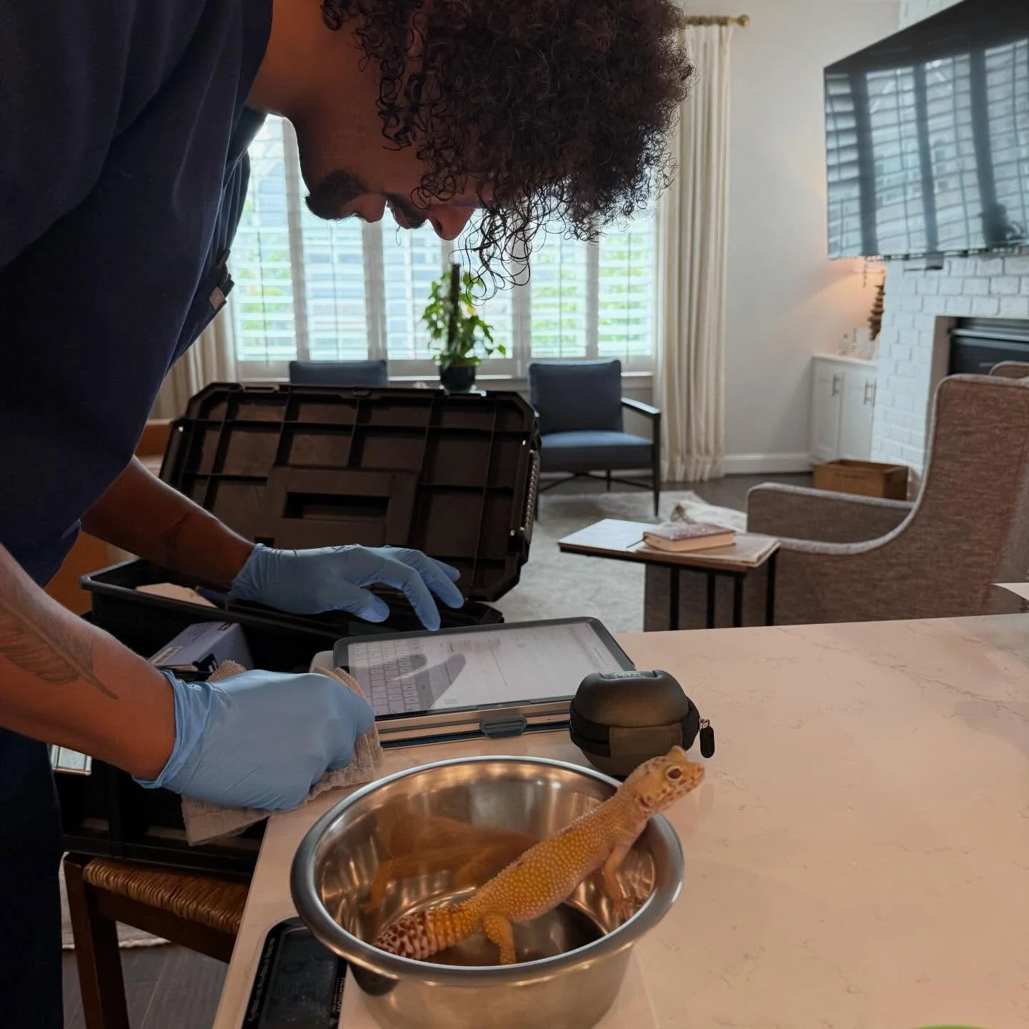 Replace stress with comfort! Not only does using a mobile vet save you time, but it also creates an environment that significantly reduces the stress your pets experience. No matter the species, every animal experiences stress to some degree when goi
