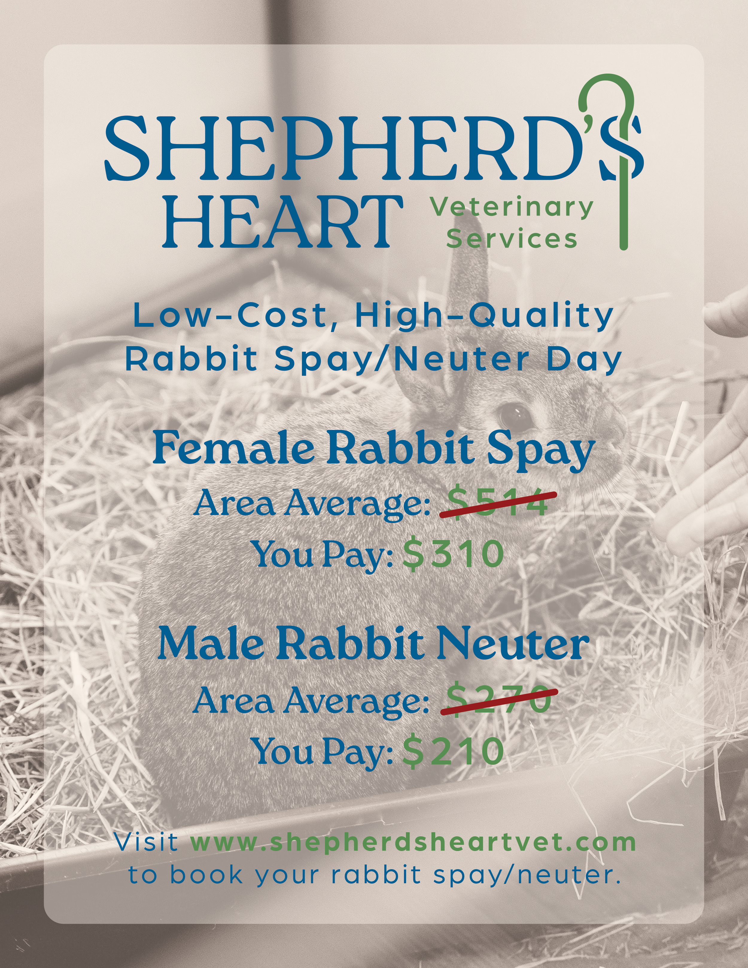 Spay & Neuter Pricing: Female Rabbit Spay $310, Male Rabbit Neuter $210