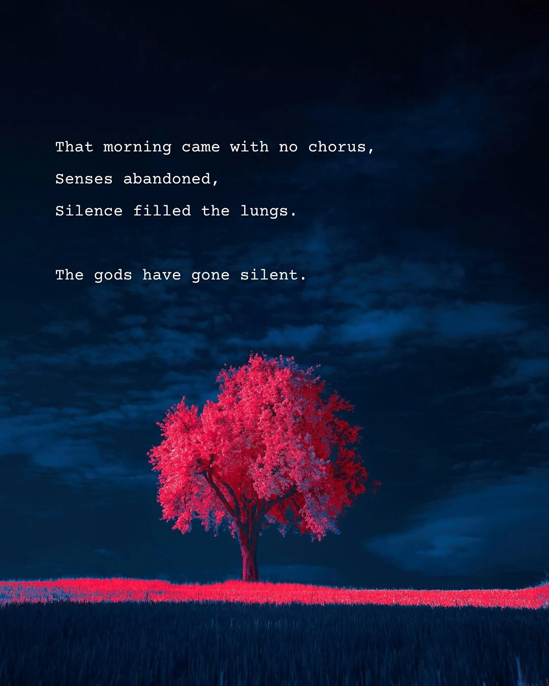 &ldquo;When The Birds Stopped Singing&rdquo;

That morning came with no chorus,
Senses abandoned,
Silence filled the lungs.

The gods have gone silent.

Have you ever seen their tears?
Ever heard their ichor strike our dust?

A city now laments.

And