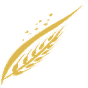 Golden wheat - Stadnyk Therapy - logo, signifying life, strength, and renewal.