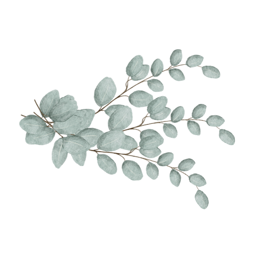 A decorative arrangement of eucalyptus leaves on Rebecca Wilson, LCSW, therapy website.