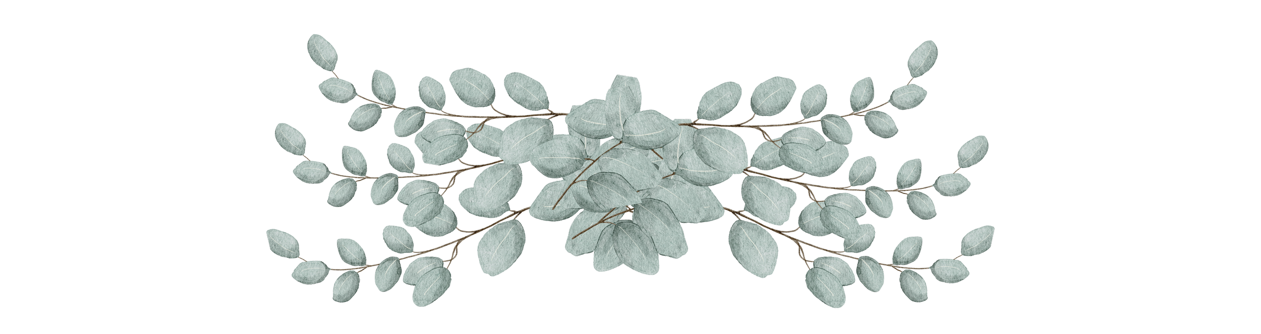 A decorative arrangement of eucalyptus leaves on Rebecca Wilson, LCSW, therapy website.