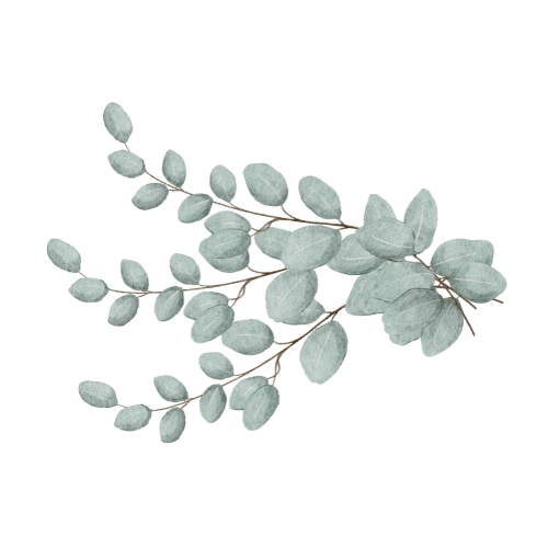 A decorative arrangement of eucalyptus leaves on Rebecca Wilson, LCSW, therapy website.