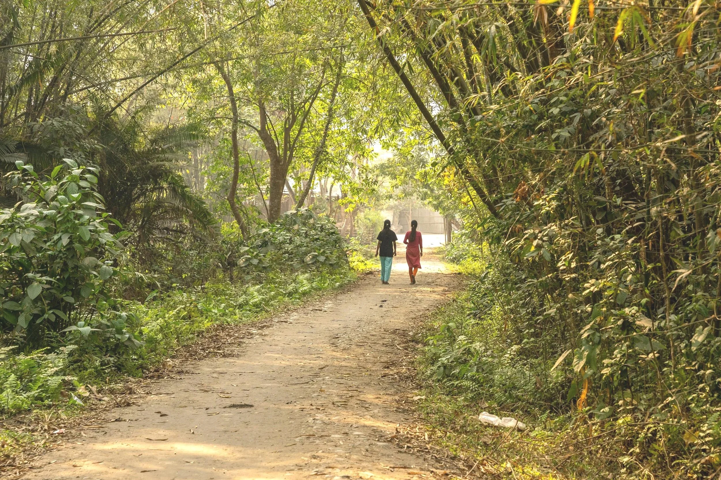 Two women in a Walk & Talk Therapy Session walking side by side on a path through a lush, green forested area, with bright sunlight filtering through the leaves.