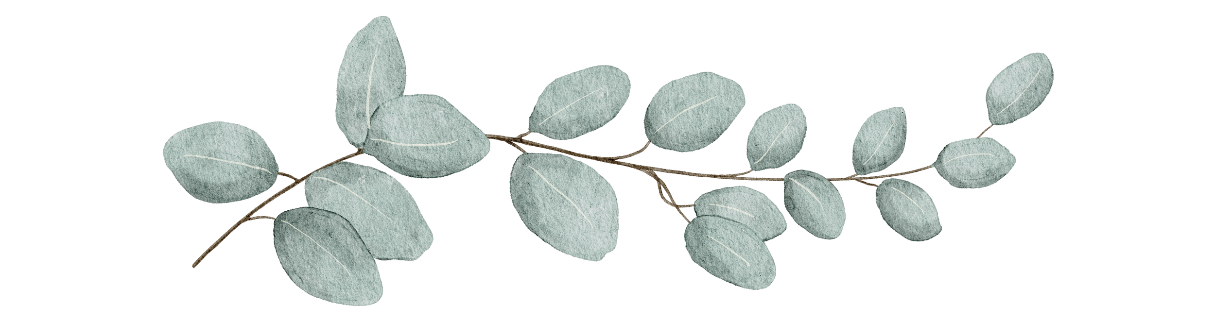 A single eucalyptus branch with multiple pale green leaves as a decorative accent on therapy website.