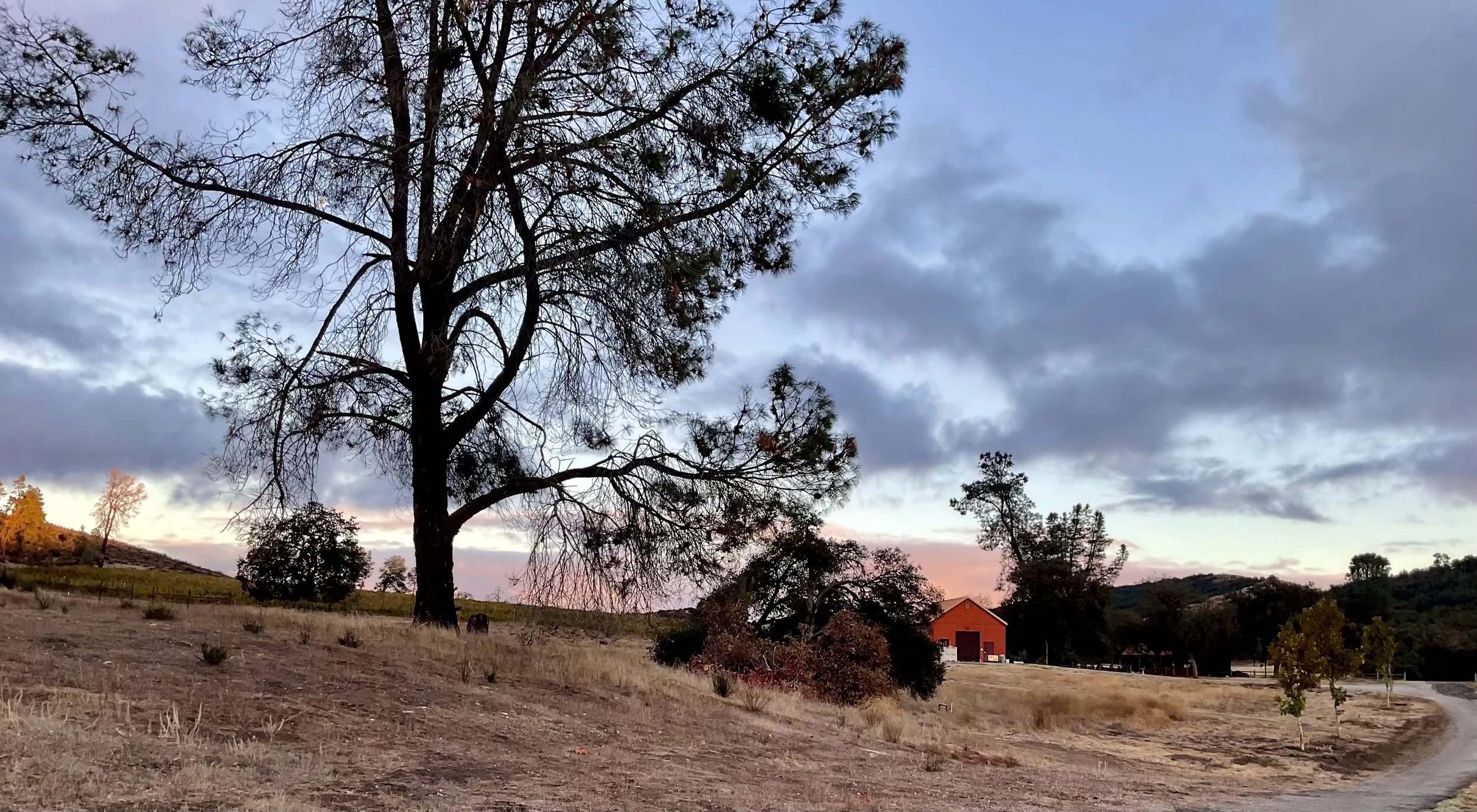 Accomodations — Shadow Run Vineyards & Winery