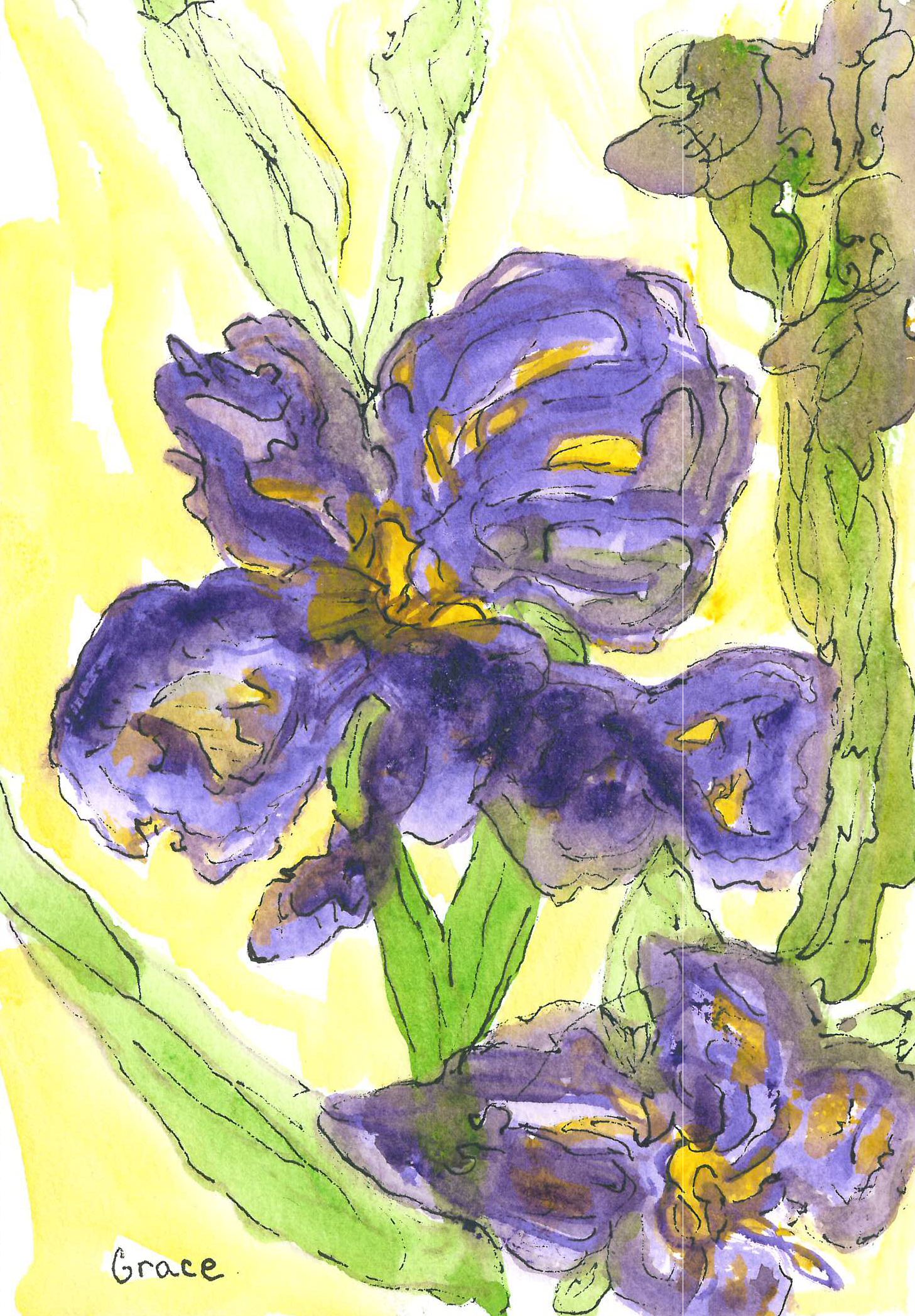 Flower, Study in Yellow and Violet.png