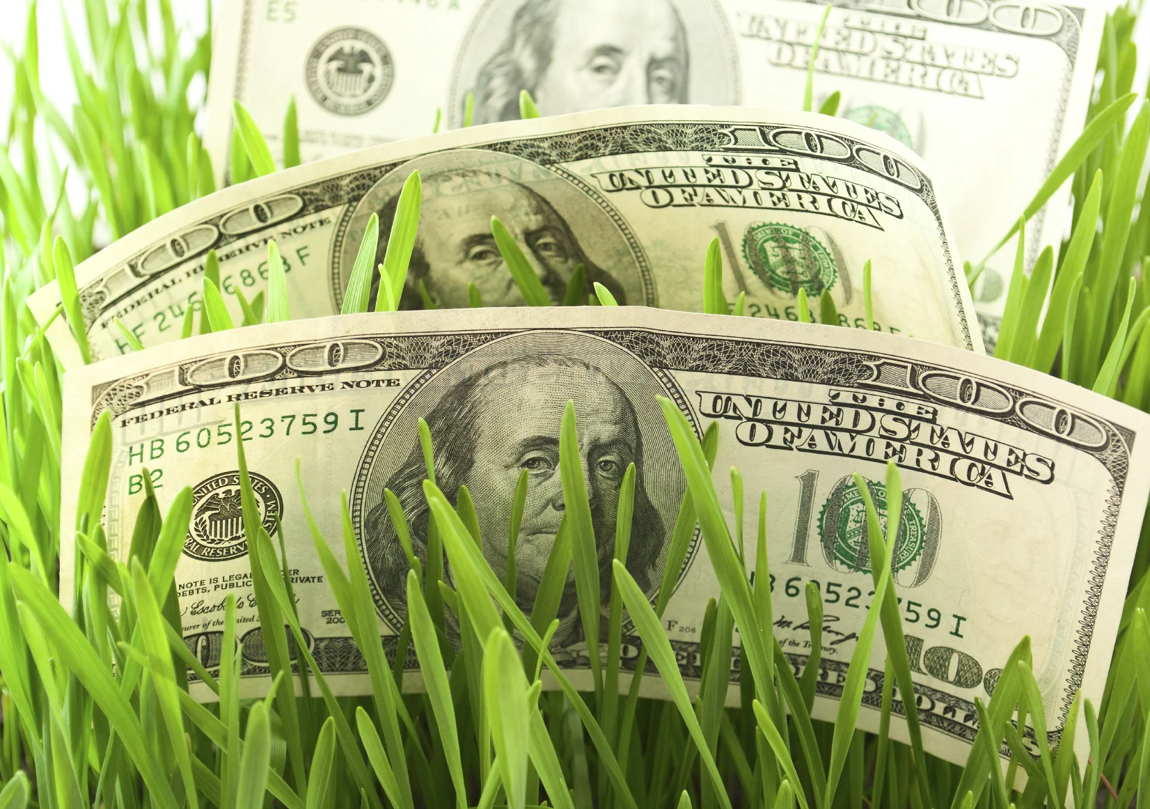 MoneyGrassMedium1652x1162.jpg