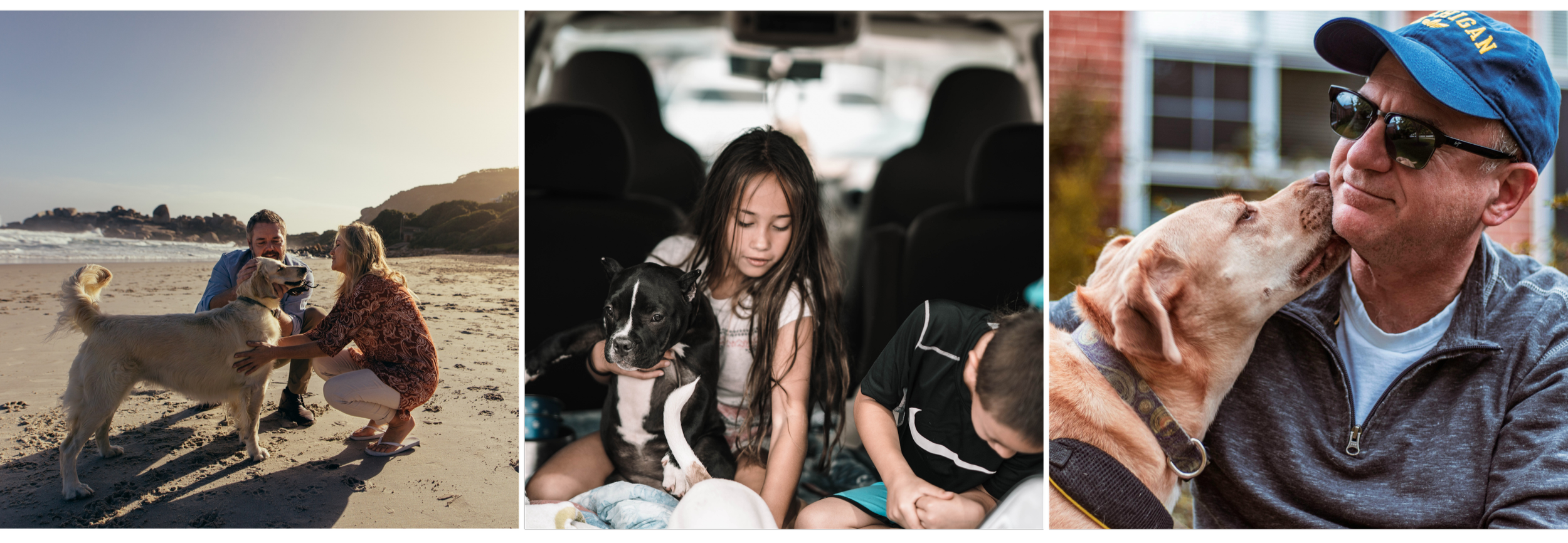 Triptych of people and dogs: on the left, a man and a woman with a dog on a beach during sunset, the woman petting the dog. in the center, a girl and a boy sitting in a car with two puppies, one black with white markings and the other not fully visible. on the right, a man wearing sunglasses and a blue cap, kissing a dog on the nose in front of a house.