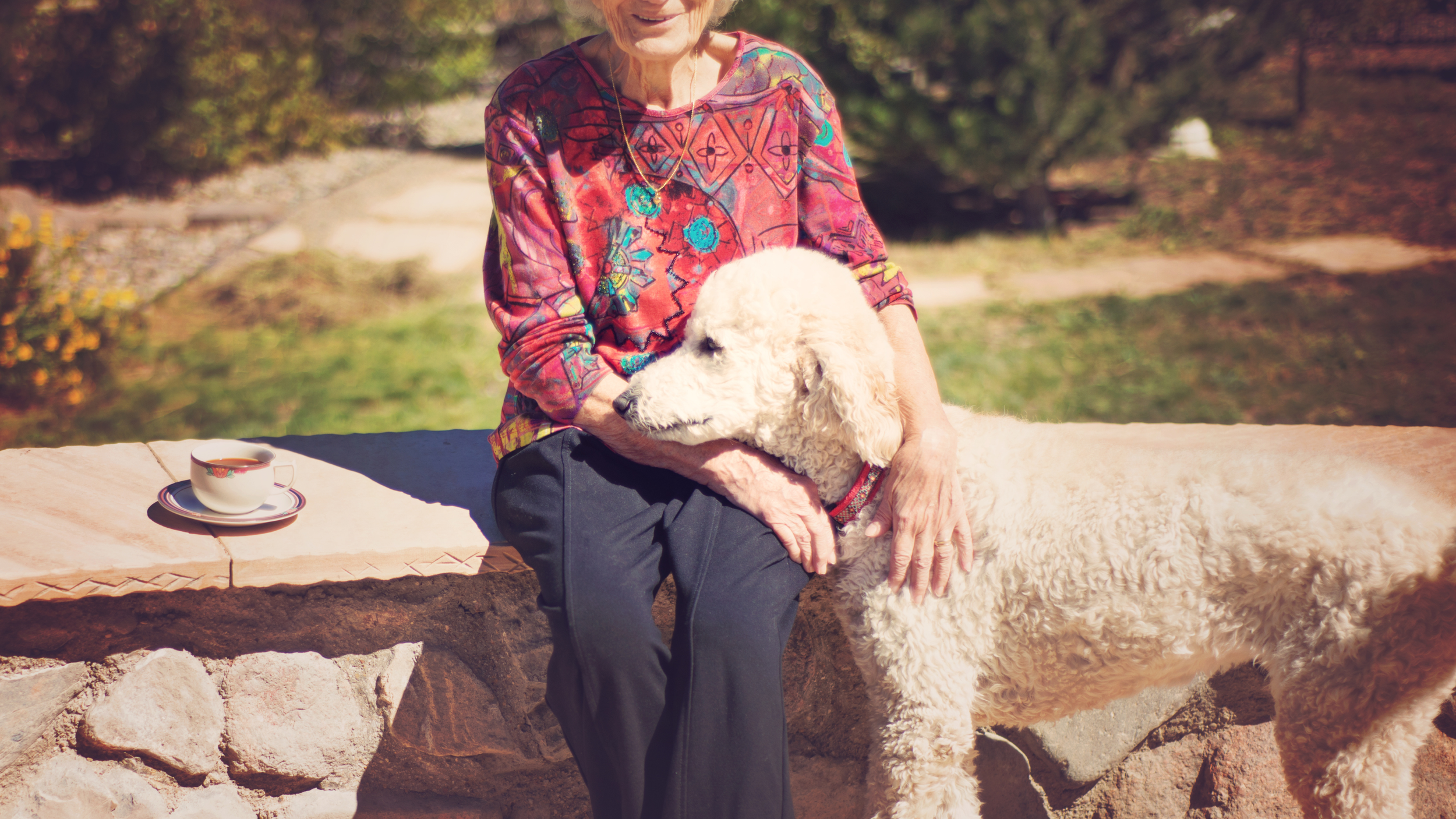 service-dog-kernersville