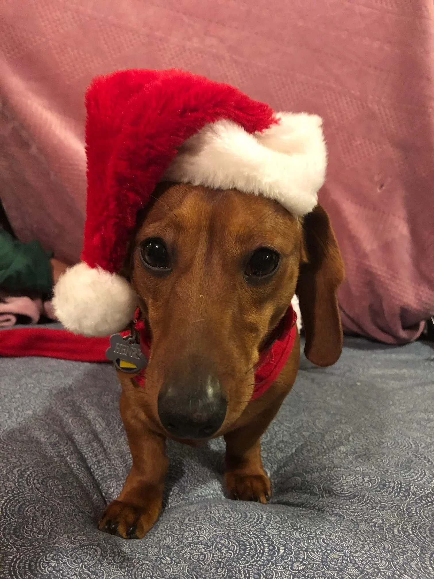 Managing Holiday Stress In A Time Of Covid