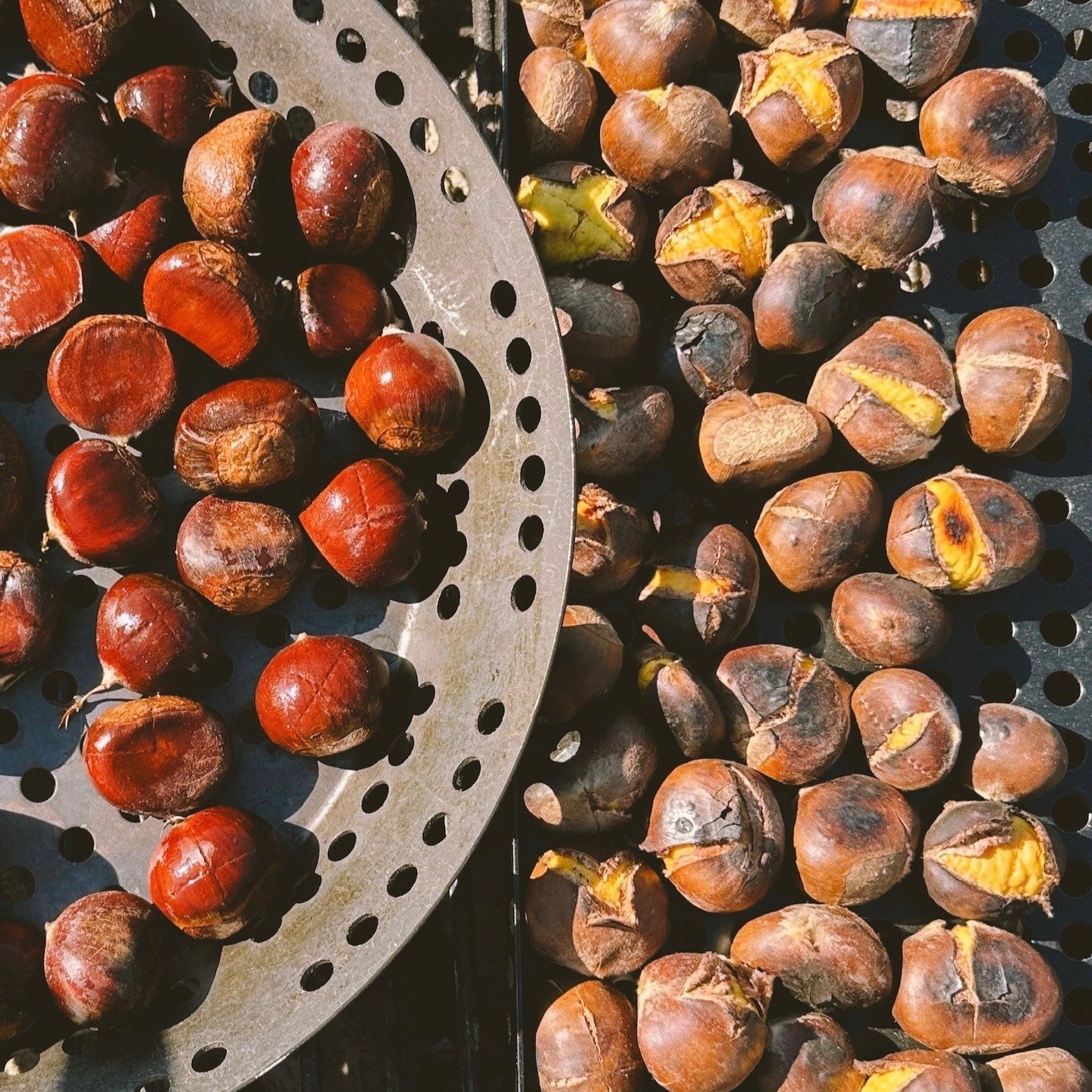 We can't tell you how excited&nbsp;we are for the big day, Hudson Valley Nut Fest. The nuts are gathered, delicious treats are being baked, and the nut community is traveling from far and wide to come together and celebrate.&nbsp;

We want to let fol