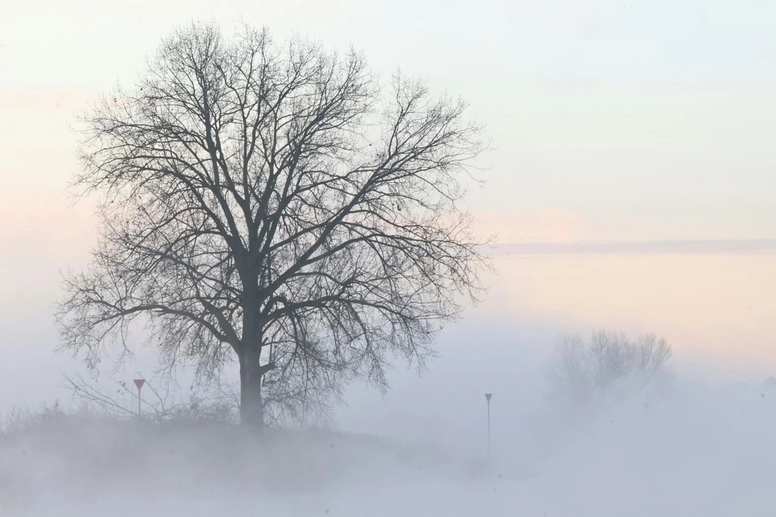 Building the Pivot in Public