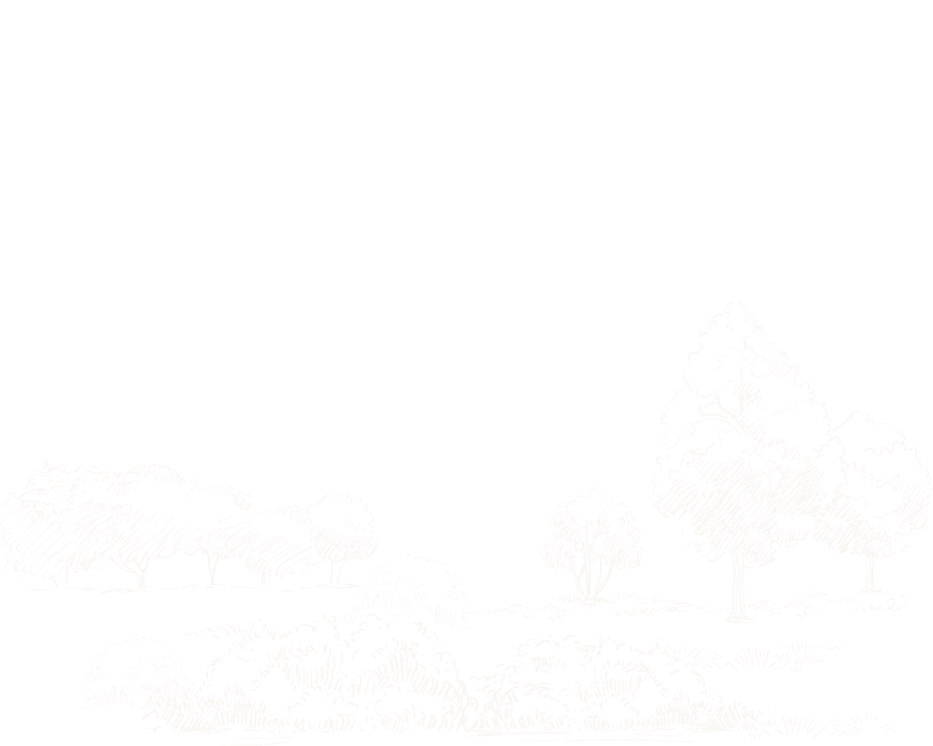 Sketch of a landscape with various trees and bushes, set against a black background.