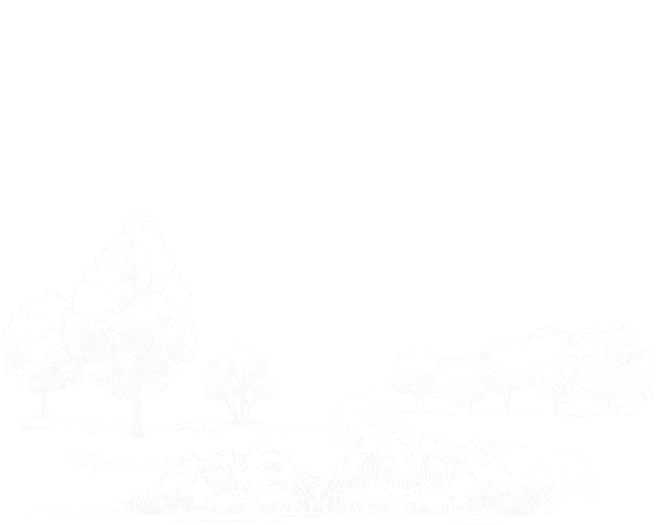 Illustration of a landscape with trees and shrubs under a black sky