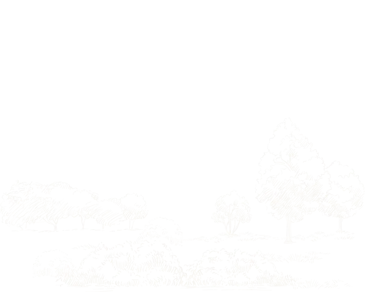 Black and white pixel art of a mountain landscape with a large mountain peak, clouds, and a flat foreground.