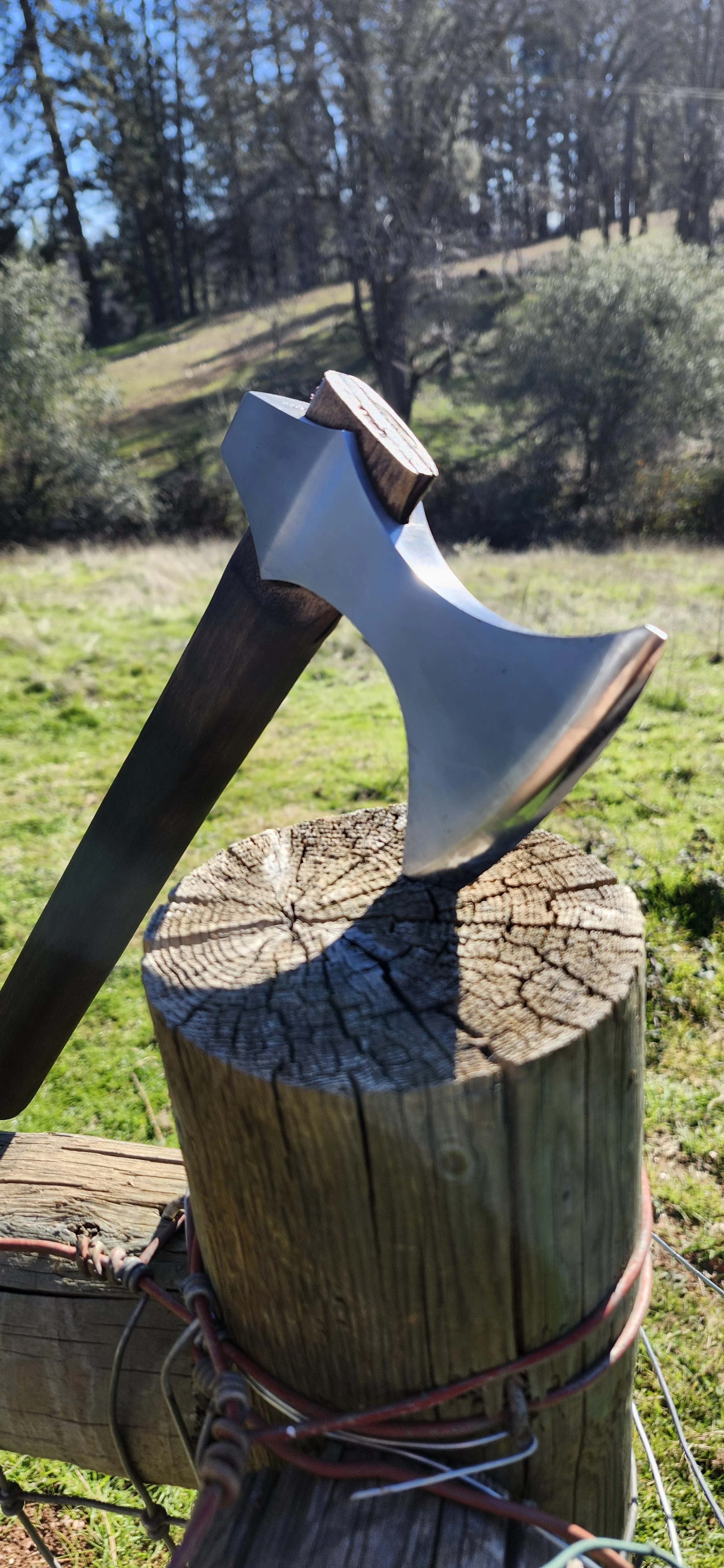 A metal axe embedded in a wooden post outdoors on a sunny day, with a grassy field and trees in the background.