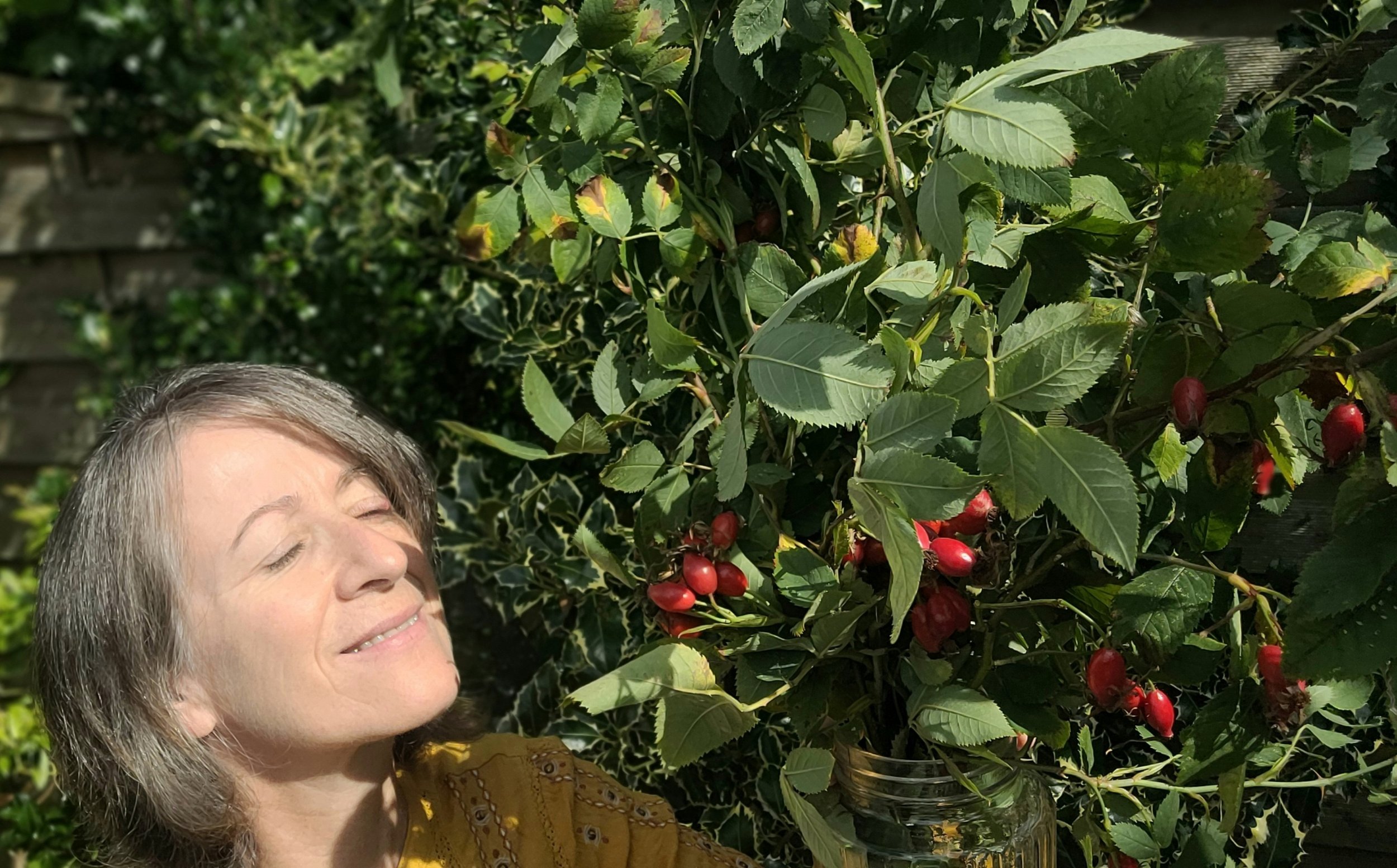 Herbal Medicine in Ireland: Healing from the Hedgerow