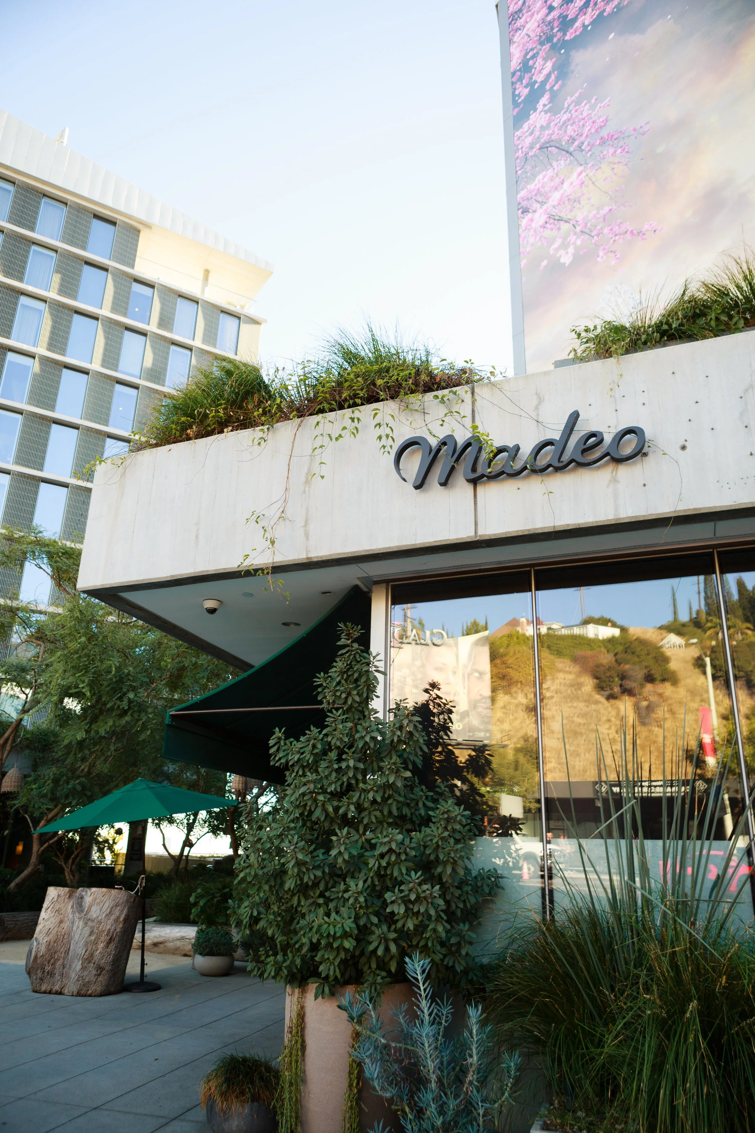 Exterior of a building with the sign 'madeo'. Large windows reflect a hillside and cloudy sky. There are plants and greenery outside, with an umbrella and table in the foreground.